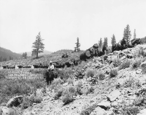 Logging — Calisphere