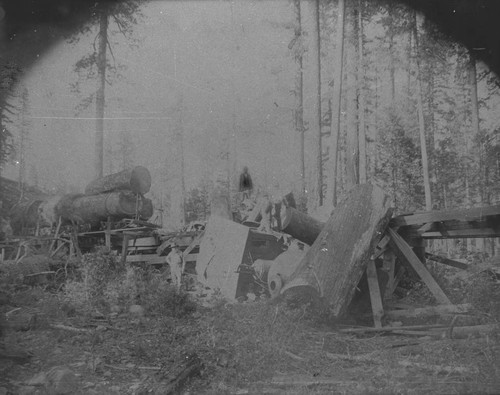 Train Wreck Near Lyonsville