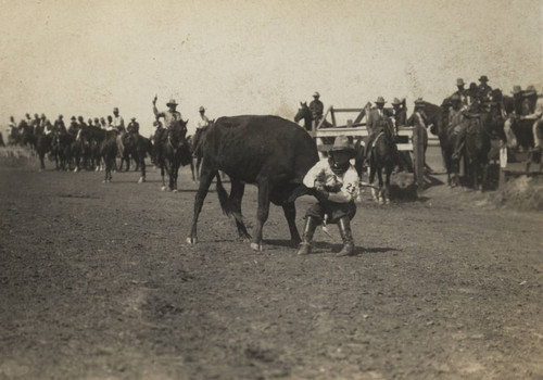 J. M. Crow, Steer Wrestling