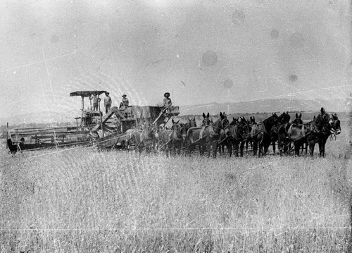 Mule Powered Harvester