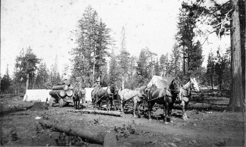 Lumber Camps