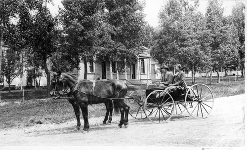 Horse and Buggy