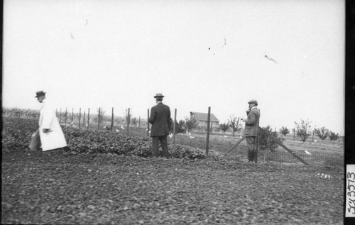 Judges of Farm Contest