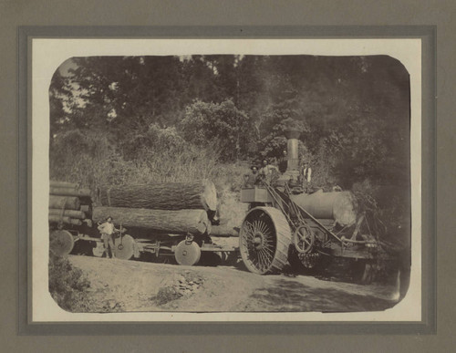 Logging at French Creek