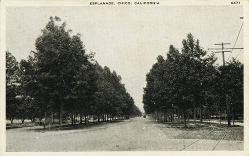 The Esplanade