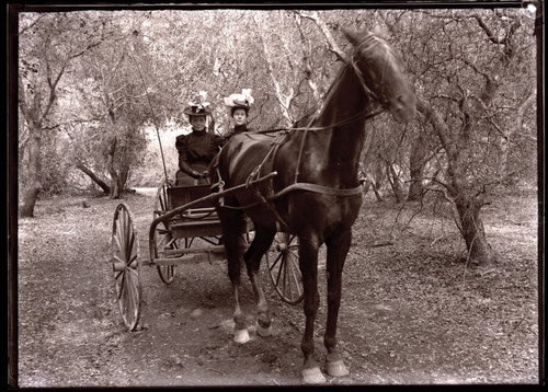 Two women in buggy