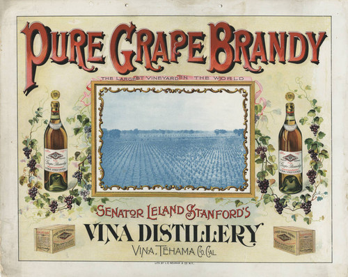 Vina Distillery Advertisement