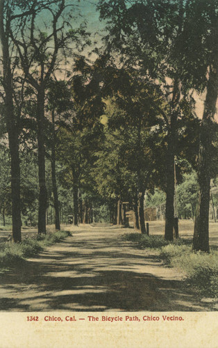 Bicycle path, Chico Vecino