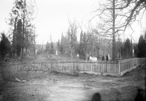 Shasta Cemetery