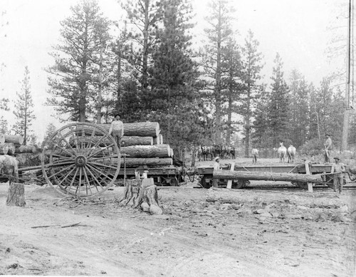 Siskiyou County Logging Railroads