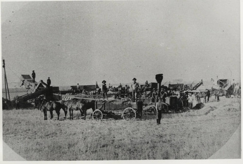 Grain Harvesting