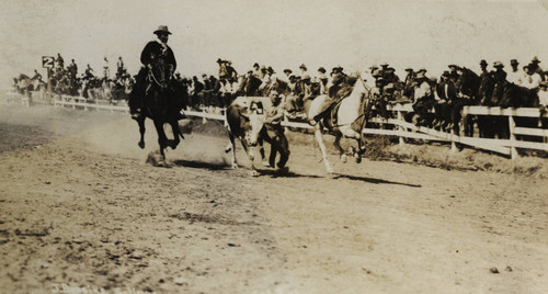 John Dobbins, Cal Rodeo