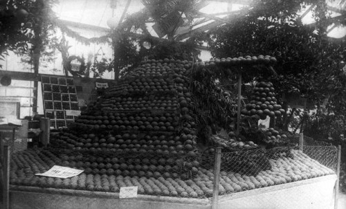 Pyramid of Oranges