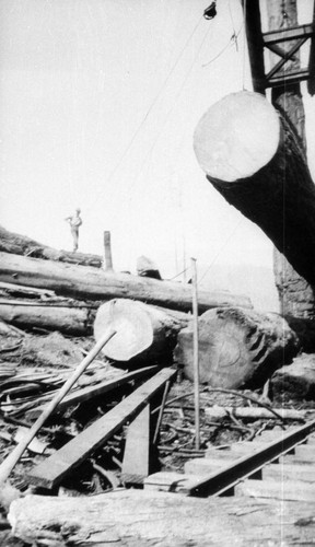 Logging Operation at Lyonsville