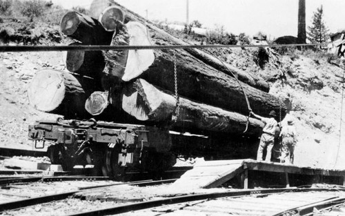 Logs on railroad car