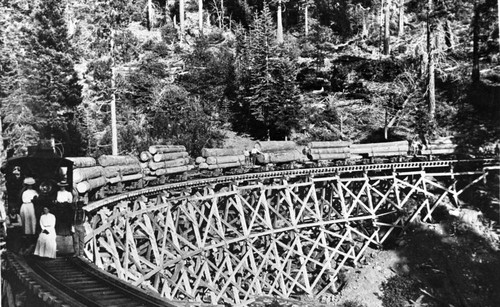 Lyonsville Logging Train