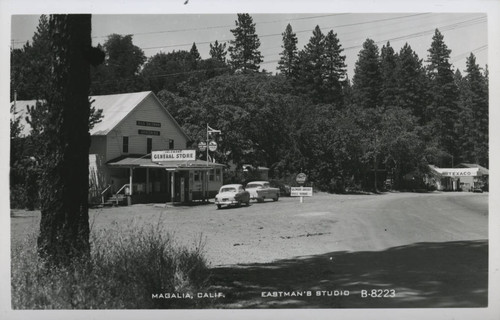 Salzman's General Store