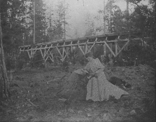 Lulu Brazelle in Front of Flumes