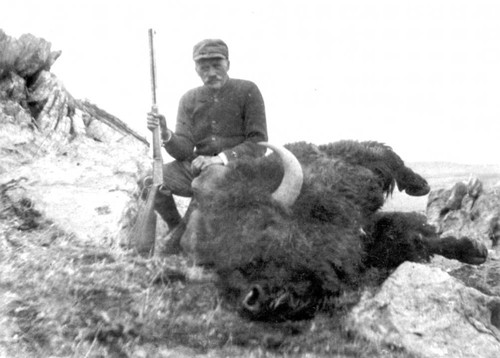 Man with buffalo