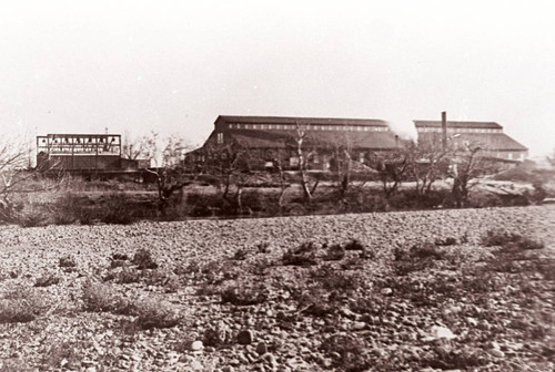 Sierra Flume and Lumber Company Mill