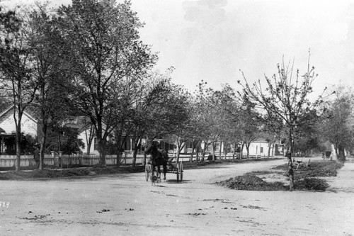 Street in Willows