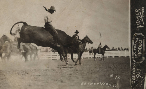 Arthur West, California Rodeo