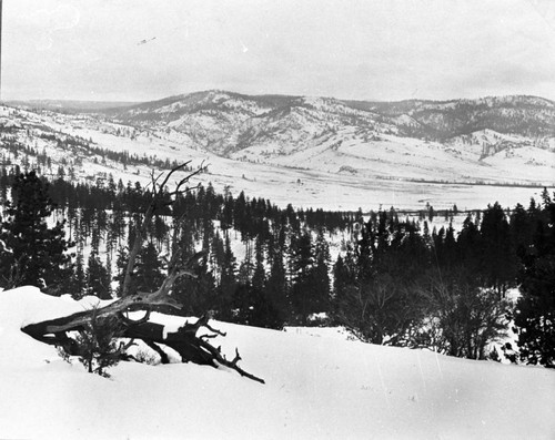 Parker Creek Basin