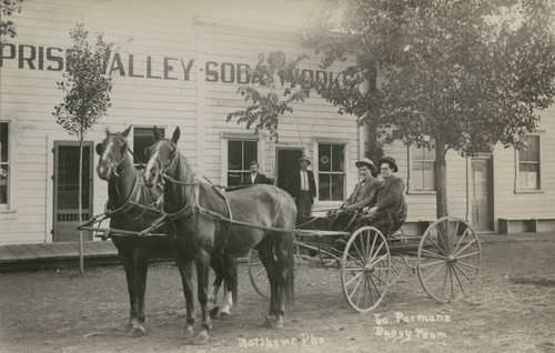 Horse and Buggy