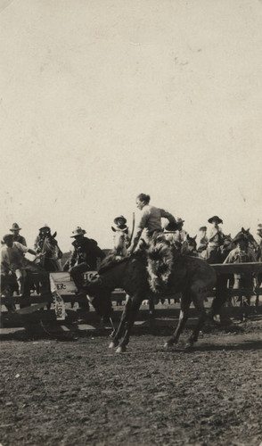 John Dobbins, Cal Rodeo