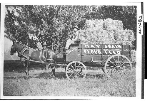 Hay Wagon