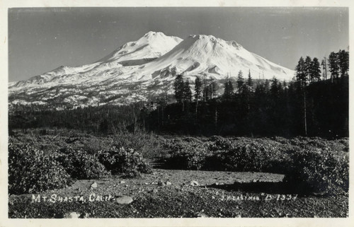 Mt. Shasta