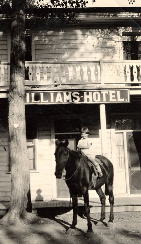 Williams Hotel