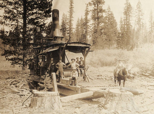 Logging crew