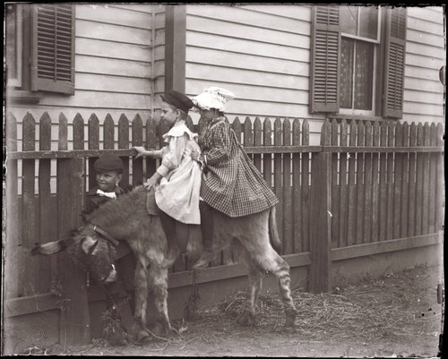 Children on Donkey