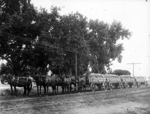 Grain Hauling