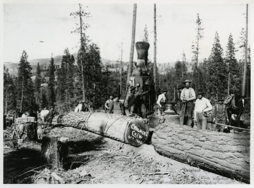 Chalmer's Logging Crew