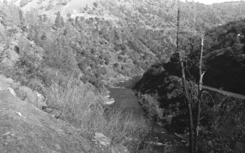 Looking Into the Western Portion of the Big Bend Winter Deer Range