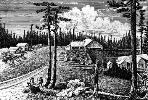 Sierra Flume and Lumber Company