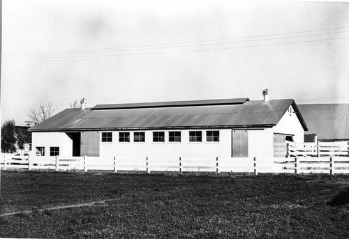 Milking Shed