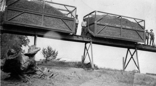 Hops Harvest