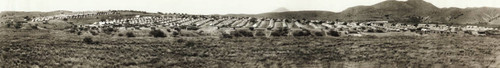 U.S. Troops on the Mexican Border