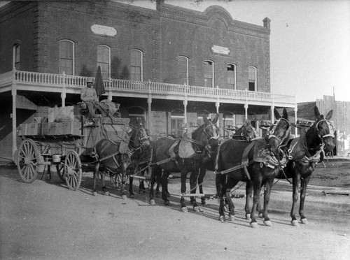 Bartlett Springs Freight Wagon