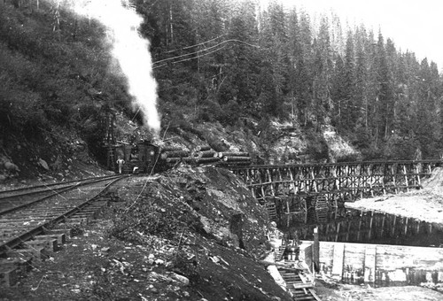 Logging locomotive