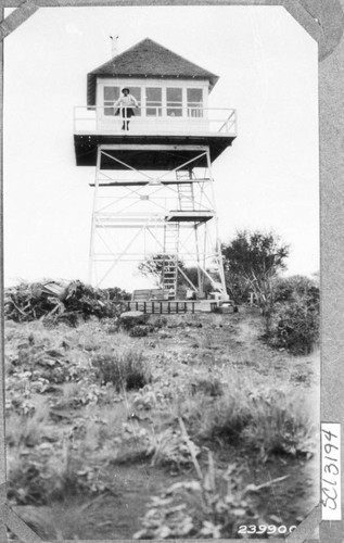 Blue Mt. Lookout