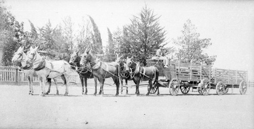 Hauling Grain