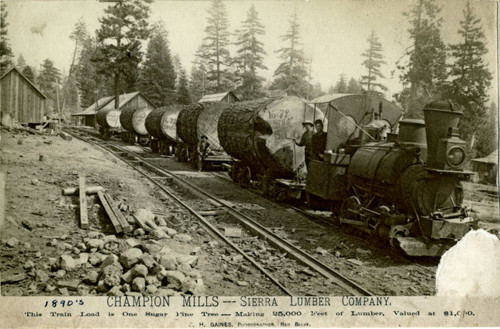 Champion Mills Lumber