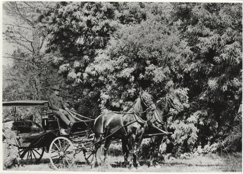 Man driving Carriage