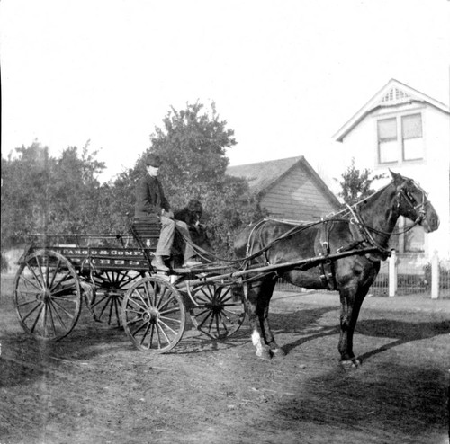 Wells Fargo wagon