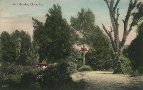 Chico Rancho