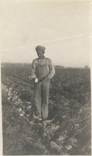 Sacramento Valley Sugar Company -Laborers